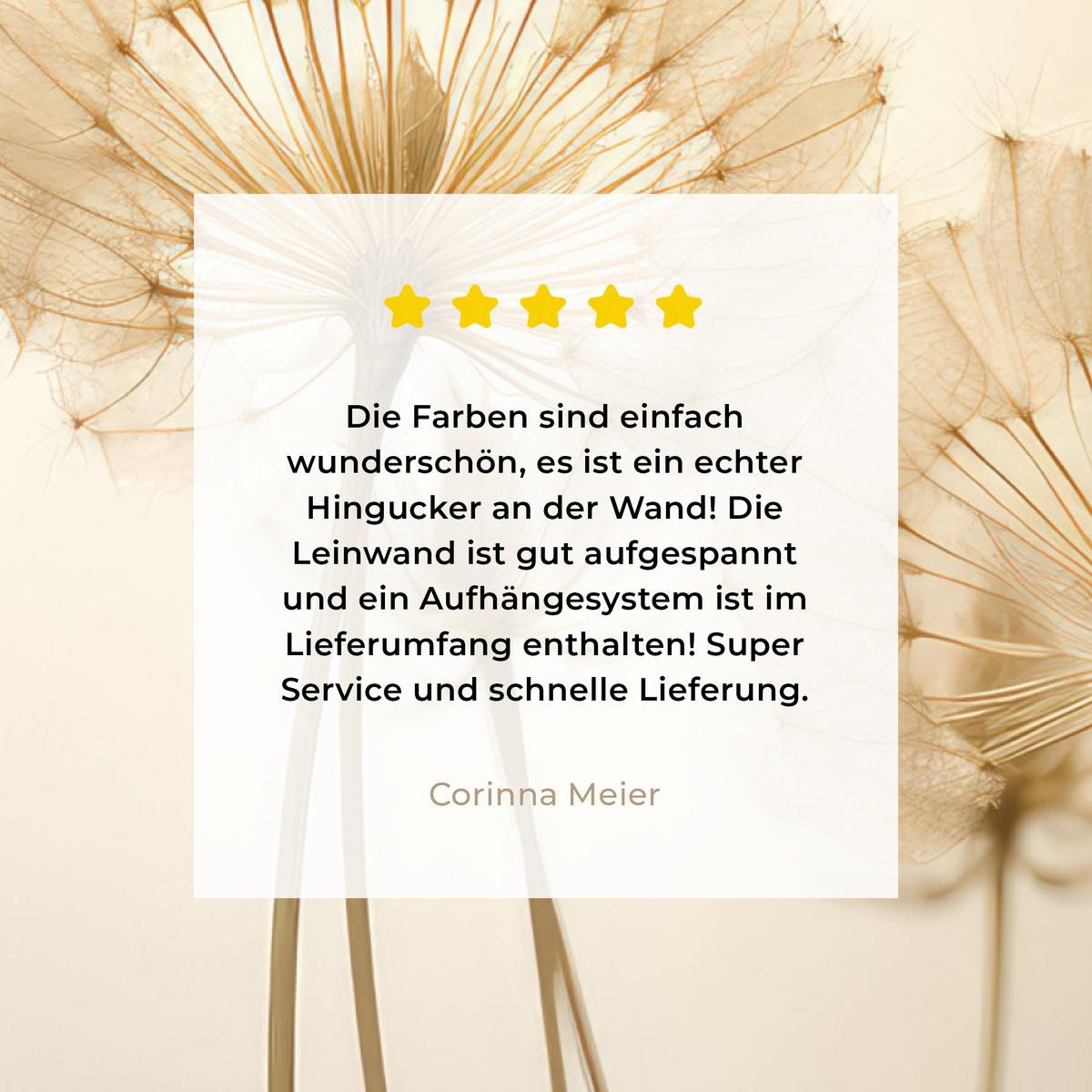 LEINWANDBILD Sonnenlicht - Löwenzahn - Botanisch - Blumen Deko Wohnzimmer 20x20 cm - Creme, Textil (20/20cm) - MuchoWow