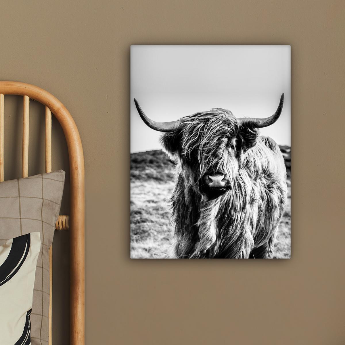LEINWANDBILD Kuh - Schottischer Hochländer - Schwarz - Weiß - Tier - Natur - Wildtiere Room Decor 30x40 cm - Schwarz, Textil (30/40cm) - MuchoWow