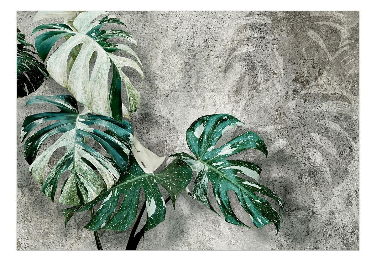 SELBSTKLEBENDE FOTOTAPETE 294/210 cm - Grau/Grün, Kunststoff/Textil (294/1cm) - KUNSTLOFT