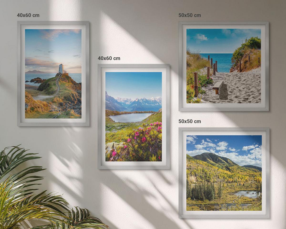 BILDER SET 4er Set - 50x50 cm & 40x60 cm Silberner Rahmen - Strand, Leuchtturm, Berge, Wiesen, Blumen - Silberfarben, Kunststoff (50/50cm) - TULUP