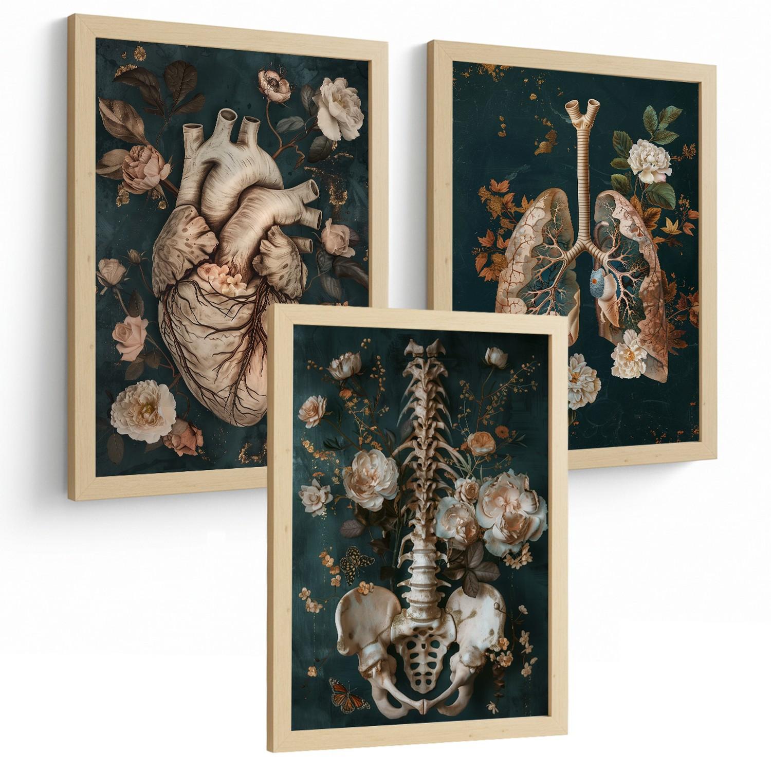 POSTER Set aus 3 Anatomie Mensch Drucke und Wandbilder mit Herz Atmungssystem und Skelett Botanischer Stil Wanddekoration Größe Leichter Holzrahmen A4 - Beige, Papier (21/29.7/3cm) - Nacnic