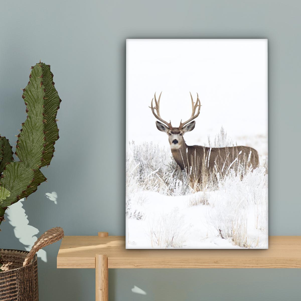 LEINWANDBILD Hirsche - Winter - Schnee - Tiere - Jahreszeiten - Weiß Deko Wohnzimmer 20x30 cm - Hellbraun, Textil (20/30cm) - MuchoWow
