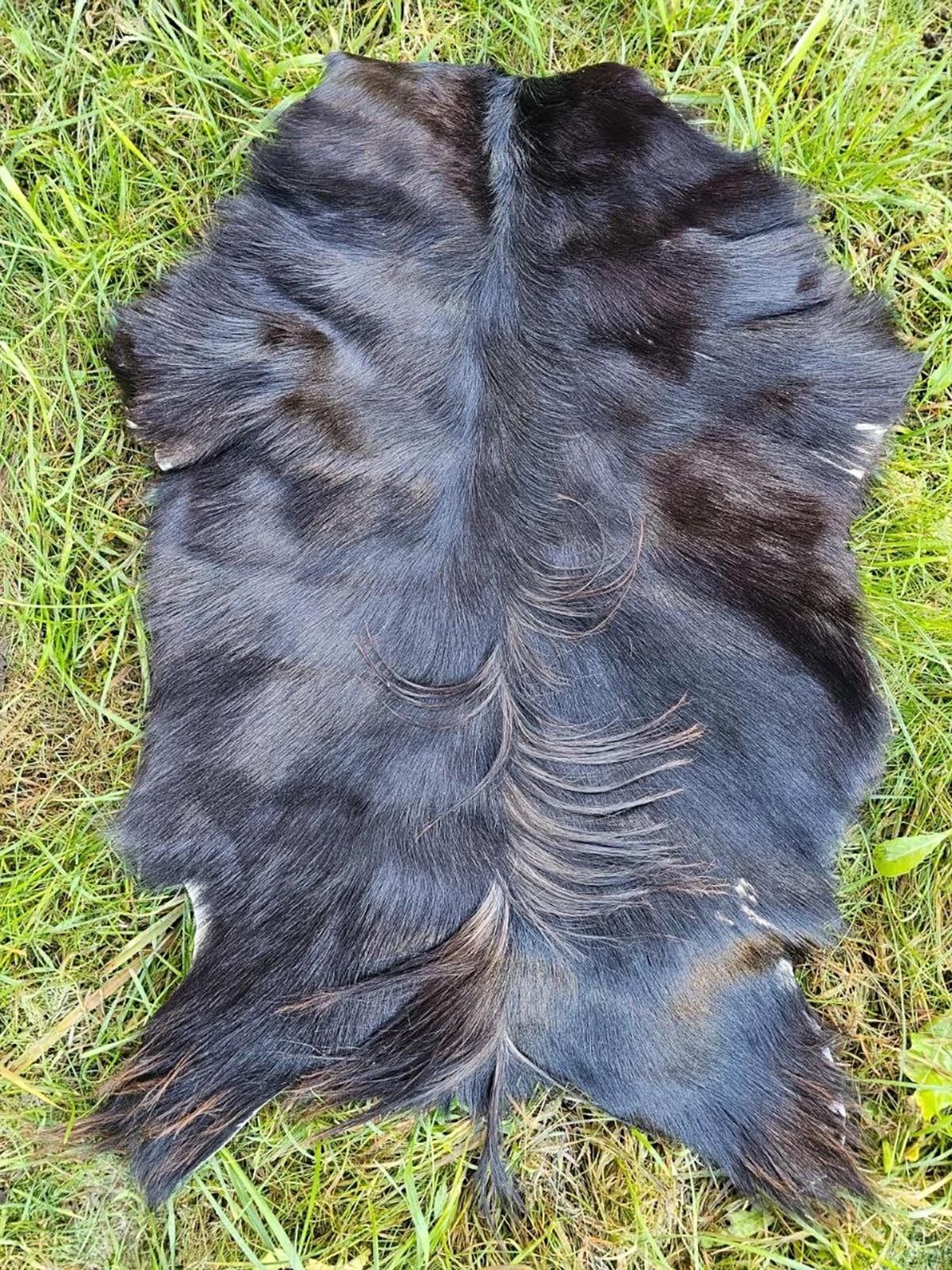 ZIEGENFELL Naturfell weich geruchsneutral Schnäppchen Braun ca. 125 cm - Dunkelbraun/Braun, Fell (75/125cm) - Provellus