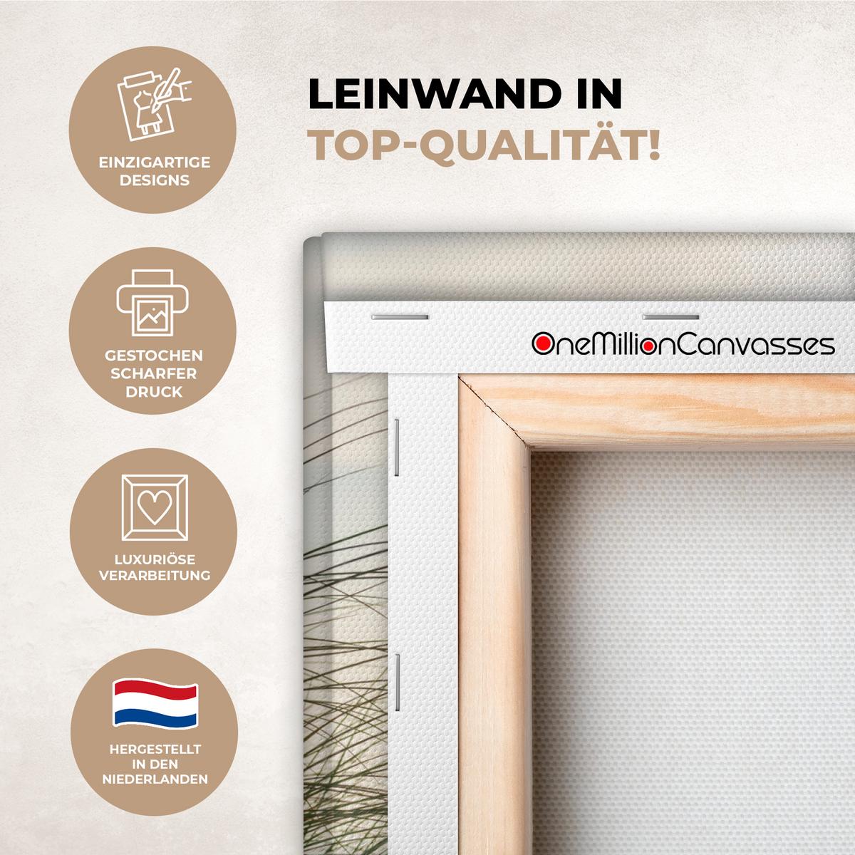 LEINWANDBILD Dünen mit Strandhafer in der Sonne des Nationalparks Schleswig-Holsteinisches Wattenmeer Room Decor 30x40 cm - Creme, Textil (30/40cm) - MuchoWow