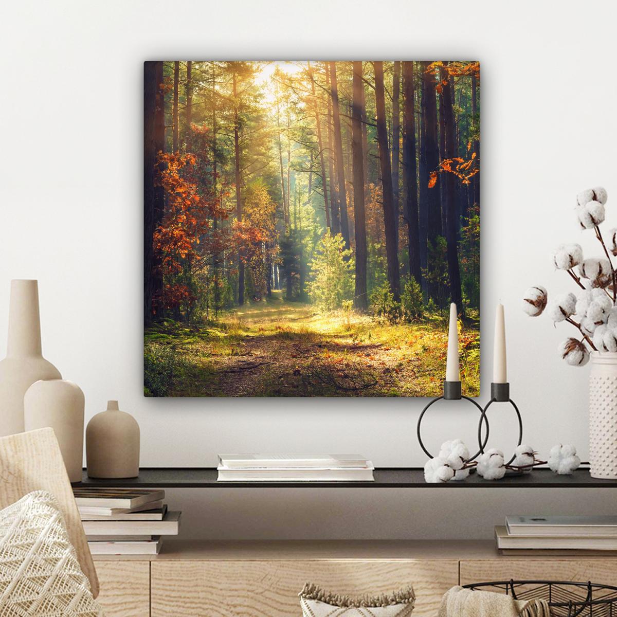 LEINWANDBILD Wald - Herbst - Bäume Wandbild Wohnzimmer 50x50 cm - Dunkelgrün, Textil (50/50cm) - MuchoWow