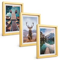 BILDER SET 3er Set - 20x30 cm Goldrahmen - Seeboote Hirsche Berge - Goldfarben, Kunststoff (20/30cm) - TULUP