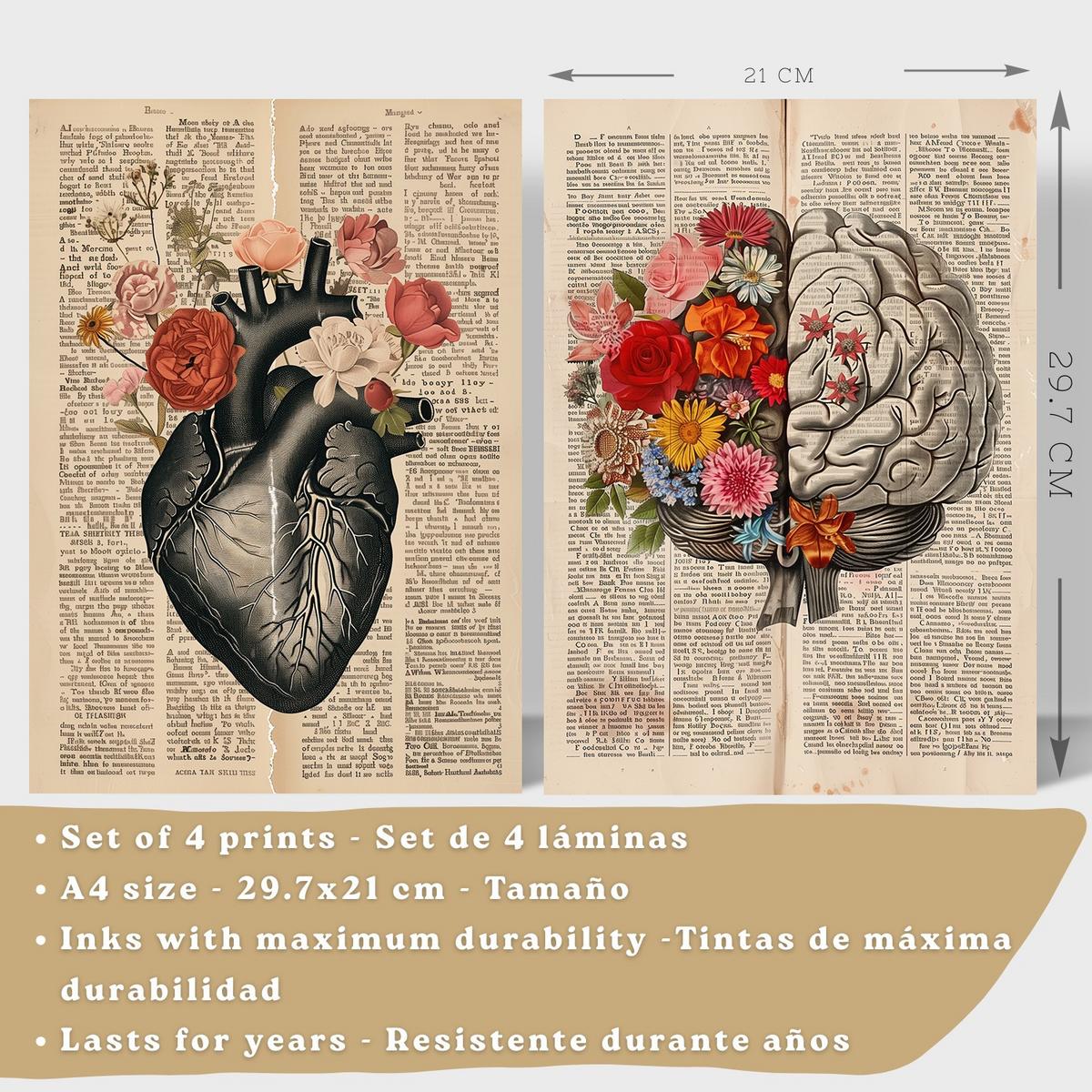 POSTER Set aus 4 Anatomie Drucke und Wandbilder mit Herz Gehirn Skelett und Darm Antiker Hintergrund Wanddekoration Größe Leichter Holzrahmen A4 - Beige, Papier (21/29.7/3cm) - Nacnic