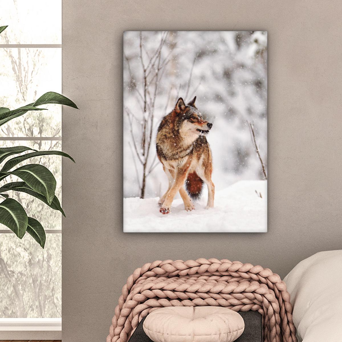LEINWANDBILD Wolf - Winter - Schnee - Natur - Tiere Wandbild Wohnzimmer 60x80 cm - Haselnussfarben, Textil (60/80cm) - MuchoWow