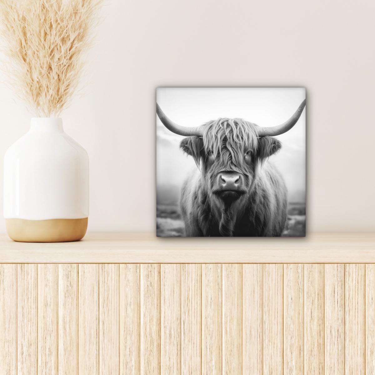LEINWANDBILD Schottischer Highlander - Nebel - Schwarz - Weiß Deko Wohnzimmer 20x20 cm - Grau, Textil (20/20cm) - MuchoWow