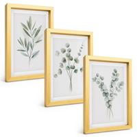 BILDER SET 3er Set - 20x30 cm Goldrahmen - Pflanzenmuster mit Grün - Goldfarben, Kunststoff (20/30cm) - TULUP