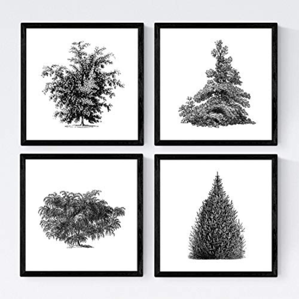 POSTER Set mit 4 Bädern Bäume und Sträucher weißer Hintergrund 20x20cm Schwarzer Rahmen - Schwarz, Papier (20/3cm) - Nacnic