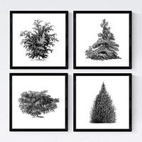 POSTER Set mit 4 Bädern Bäume und Sträucher weißer Hintergrund 20x20cm Schwarzer Rahmen - Schwarz, Papier (20/3cm) - Nacnic