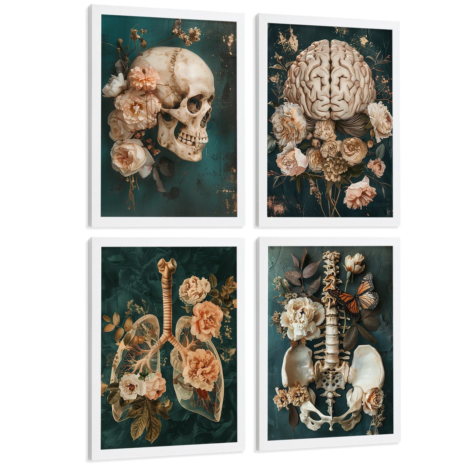 POSTER Set aus 4 Anatomie Mensch Drucke und mit Schädel Gehirn Lungen Luftröhre Bronchien Becken Wirbelsäule Florales Größe Weißer Rahmen A3 - Weiß, Papier (29.7/42/3cm) - Nacnic