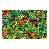 FOTOTAPETE Bunte Collage - Papageien im Dschungel 384/255 cm - Multicolor, Papier (384/255cm) - Bilderwelten