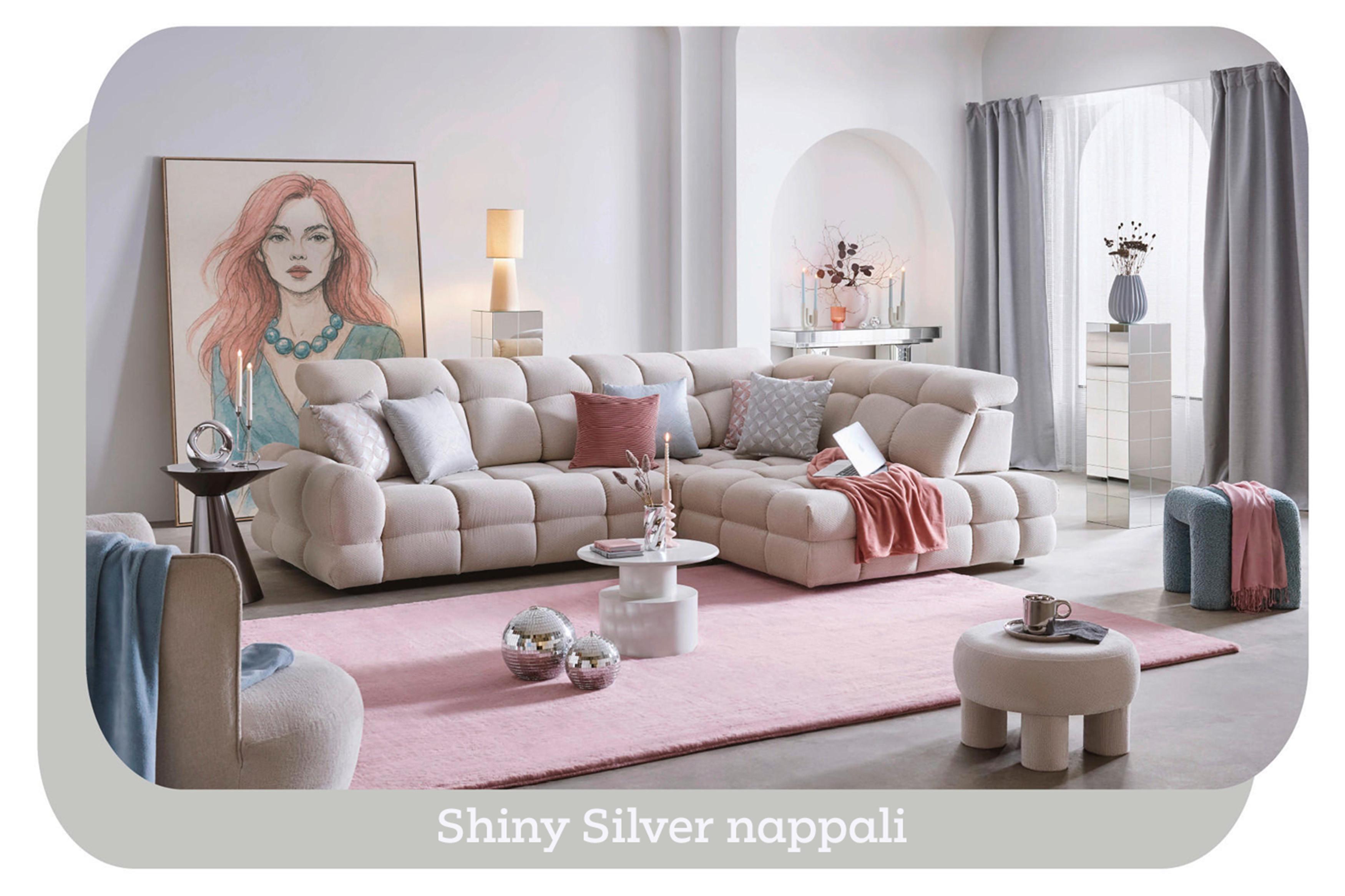 Shiny silver nappali