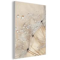 AKUSTIKBILD Löwenzahn - Abstrakt - Natur - Beige Kunstdruck Schlafzimmer 50x70 cm - Braun, Kunststoff (50/70/0.9cm) - MuchoWow