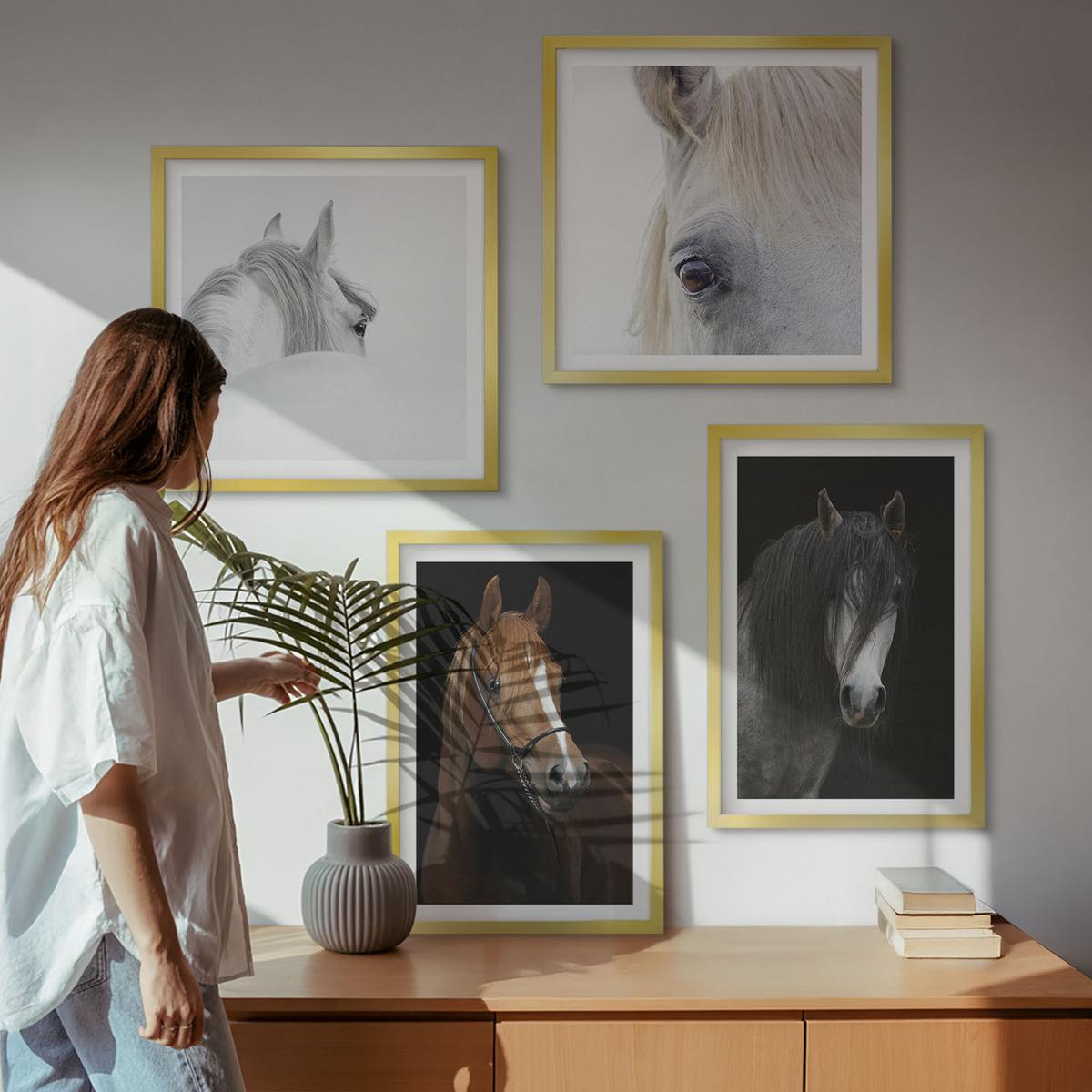 BILDER SET 4er Set - 50x50 cm & 40x60 cm Goldrahmen - Pferdeporträts in Schattierungen - Goldfarben, Kunststoff (50/50cm) - TULUP