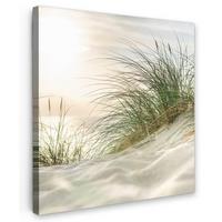 LEINWANDBILD Dünen mit Strandhafer in der Sonne des Nationalparks Schleswig-Holsteinisches Wattenmeer Deko Wohnzimmer 20x20 cm - Creme, Textil (20/20cm) - MuchoWow
