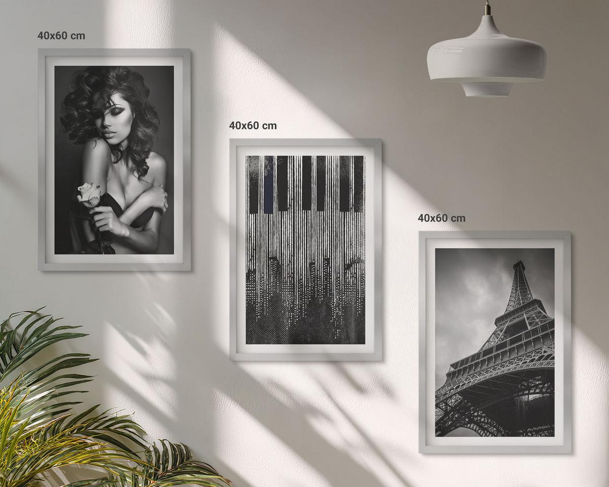 BILDER SET 3er Set - 40x60 cm Silberner Rahmen - Porträt einer Frau mit einer Eiffel-Rose - Silberfarben, Kunststoff (40/60cm) - TULUP