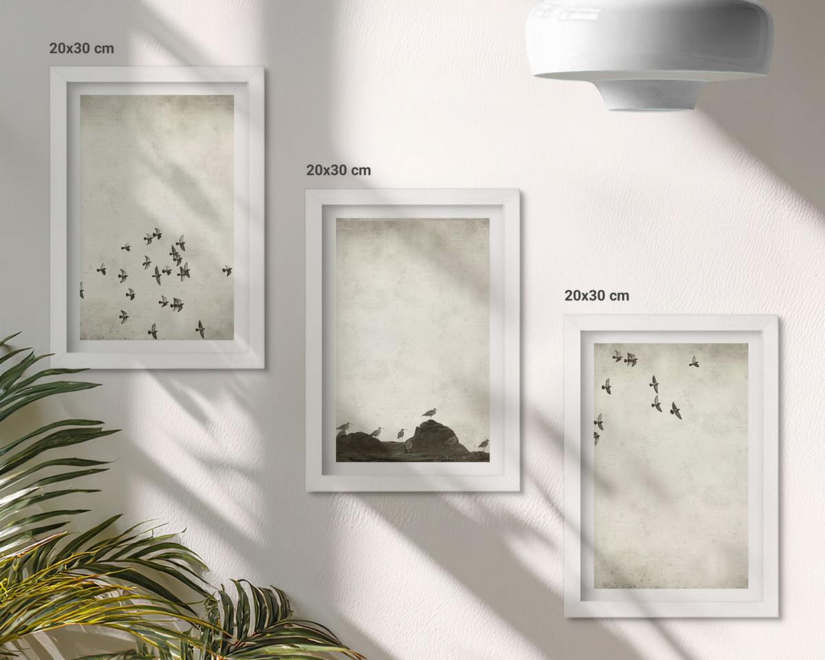 BILDER SET 3er Set - 20x30 cm Weißer Rahmen - Vögel im Flug, minimalistischer Stil - Weiß, Kunststoff (20/30cm) - TULUP