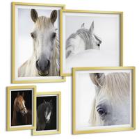 BILDER SET 5er Set - 50x50 cm & 20x30 cm & 40x60 cm Goldrahmen - Pferdeporträts in Schattierungen - Goldfarben, Kunststoff (40/60cm) - TULUP