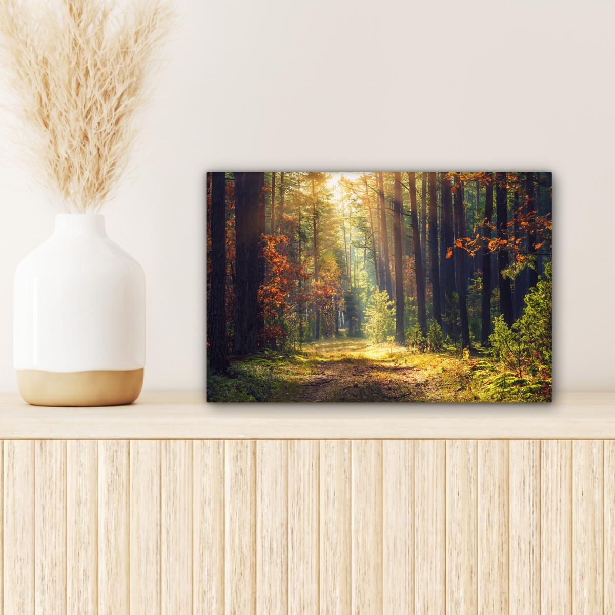LEINWANDBILD Wald - Herbst - Bäume Deko Schlafzimmer 30x20 cm - Dunkelgrün, Textil (30/20cm) - MuchoWow