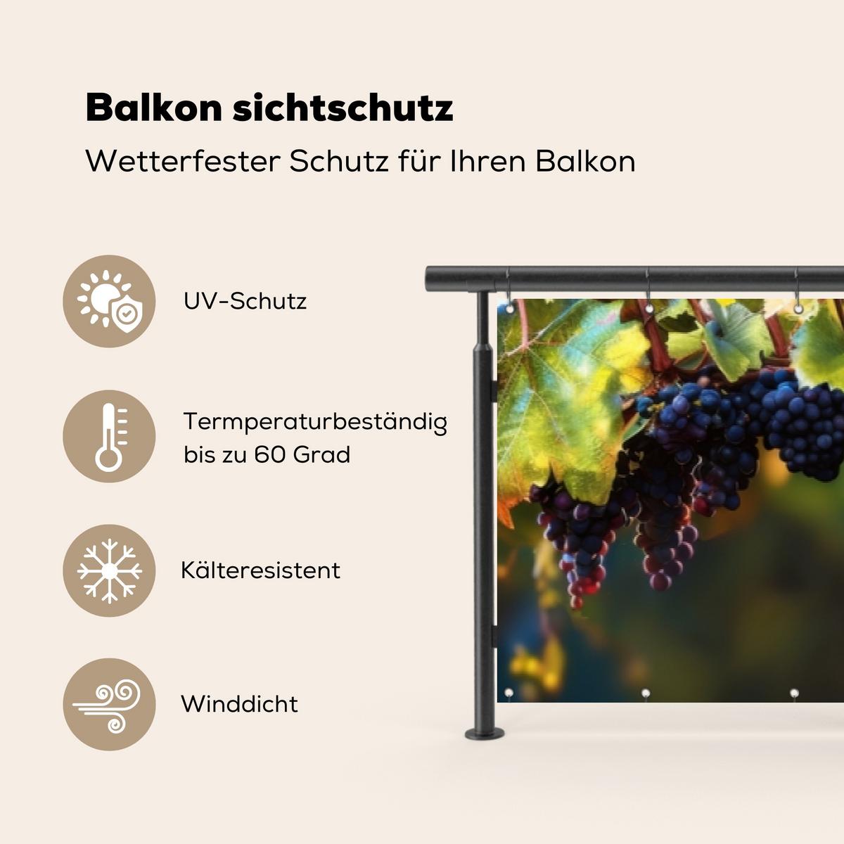 BALKON-SICHTSCHUTZ Trauben - Wein - Natur - Grün Groß 500x85 cm - Weinrot, Kunststoff (500/85cm) - MuchoWow