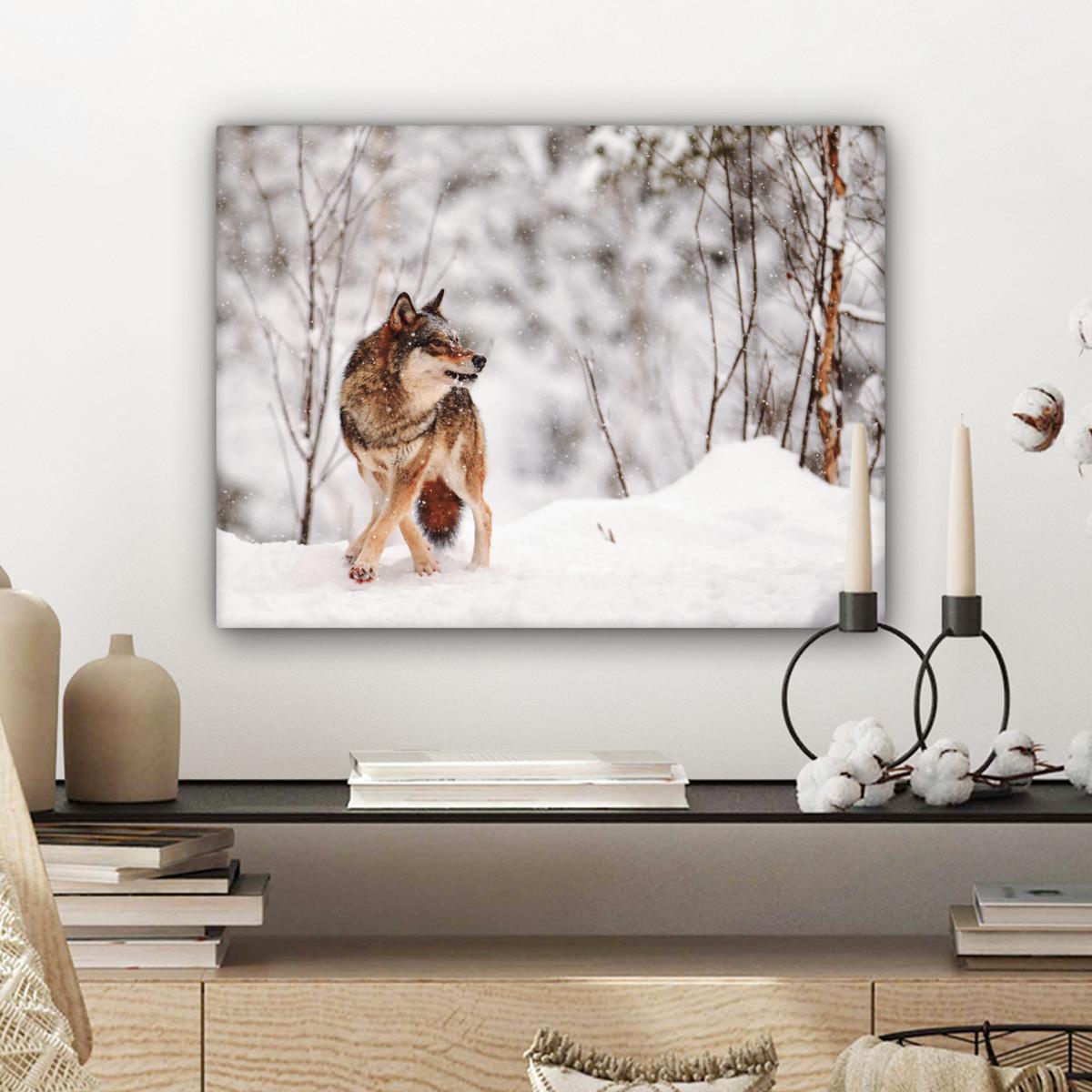 LEINWANDBILD Wolf - Winter - Schnee - Natur - Tiere Wandbild 40x30 cm - Haselnussfarben, Textil (40/30cm) - MuchoWow