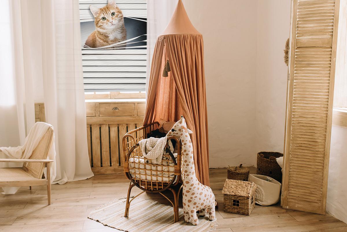 INNENROLLO - Fensterrollo - Rollo - 90x140 cm - Ingwerkatze - Grau, Kunststoff (90/140/0.5cm) - TULUP