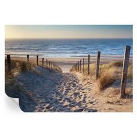 FOTOTAPETE 152x104 cm - Strandweg - Weiß, Textil (152/104cm) - Wallfluent