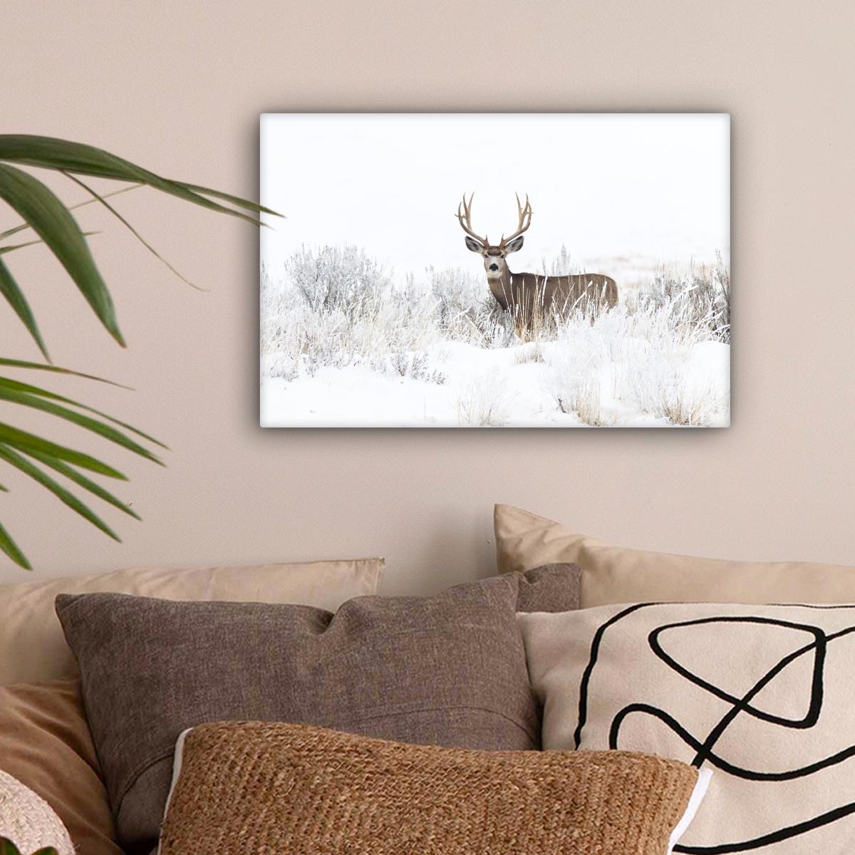 LEINWANDBILD Hirsche - Winter - Schnee - Tiere - Jahreszeiten - Weiß Deko Schlafzimmer 30x20 cm - Hellbraun, Textil (30/20cm) - MuchoWow
