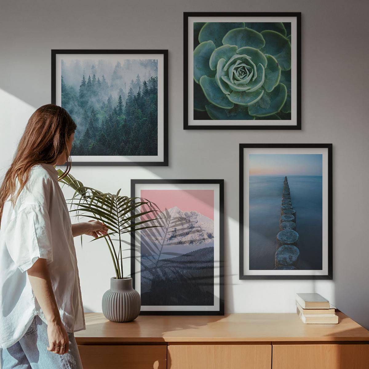 BILDER SET 4er Set - 50x50 cm & 40x60 cm Schwarzer Rahmen - Berge, rosa Himmel, Wasser, Sukkulente - Schwarz, Kunststoff (50/50cm) - TULUP