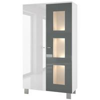 VITRINE Denjo Tür in Grau Hochglanz - Grau, Holzwerkstoff (71/129/35cm) - Vladon