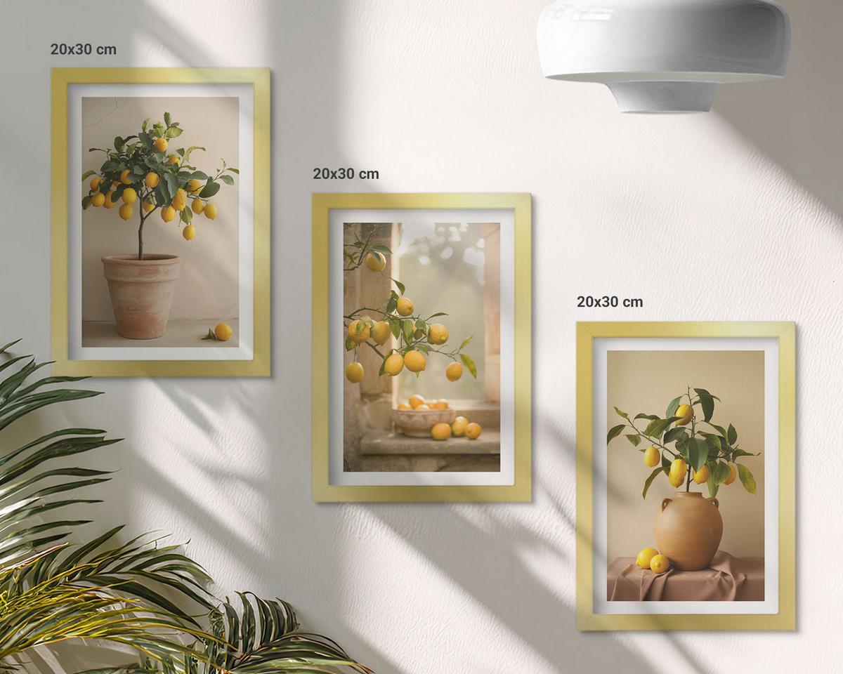 BILDER SET 3er Set - 20x30 cm Goldrahmen - Zitronenbäume im Topf - Goldfarben, Kunststoff (20/30cm) - TULUP