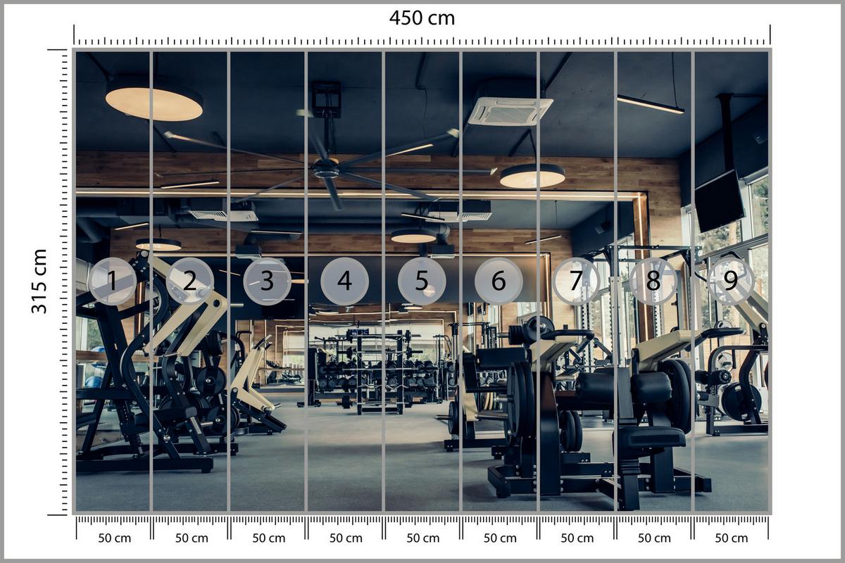 FOTOTAPETE Modernes Fitnessstudio Trainingsgeräte Sport 450x315 - Schwarz/Braun, Papier (450/315cm) - Muralo