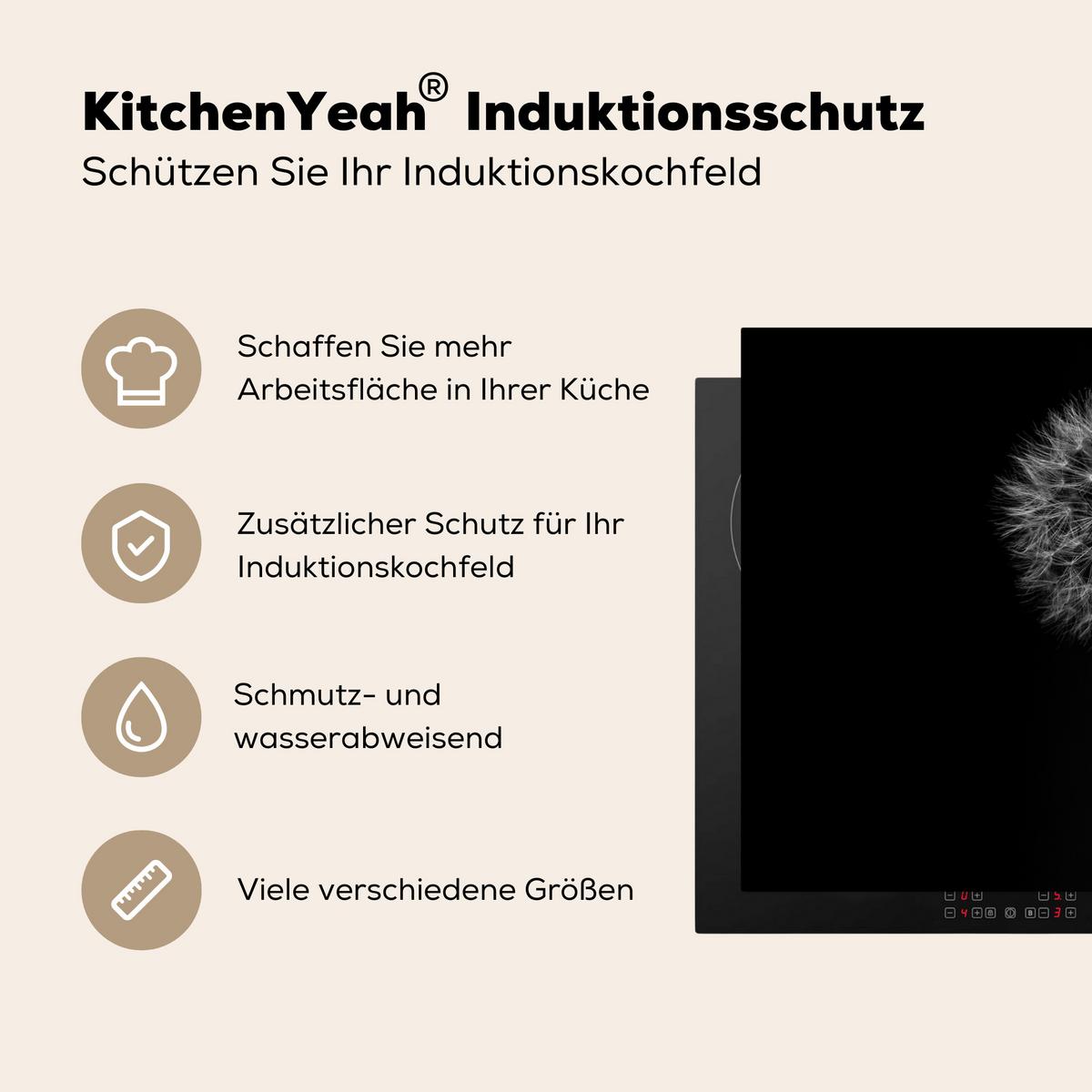 HERDABDECKPLATTE Löwenzahn - Schwarz - Floral - Botanisch Ceranfeldabdeckung 78x52 cm - Grau, Kunststoff (78/52/0.2cm) - MuchoWow
