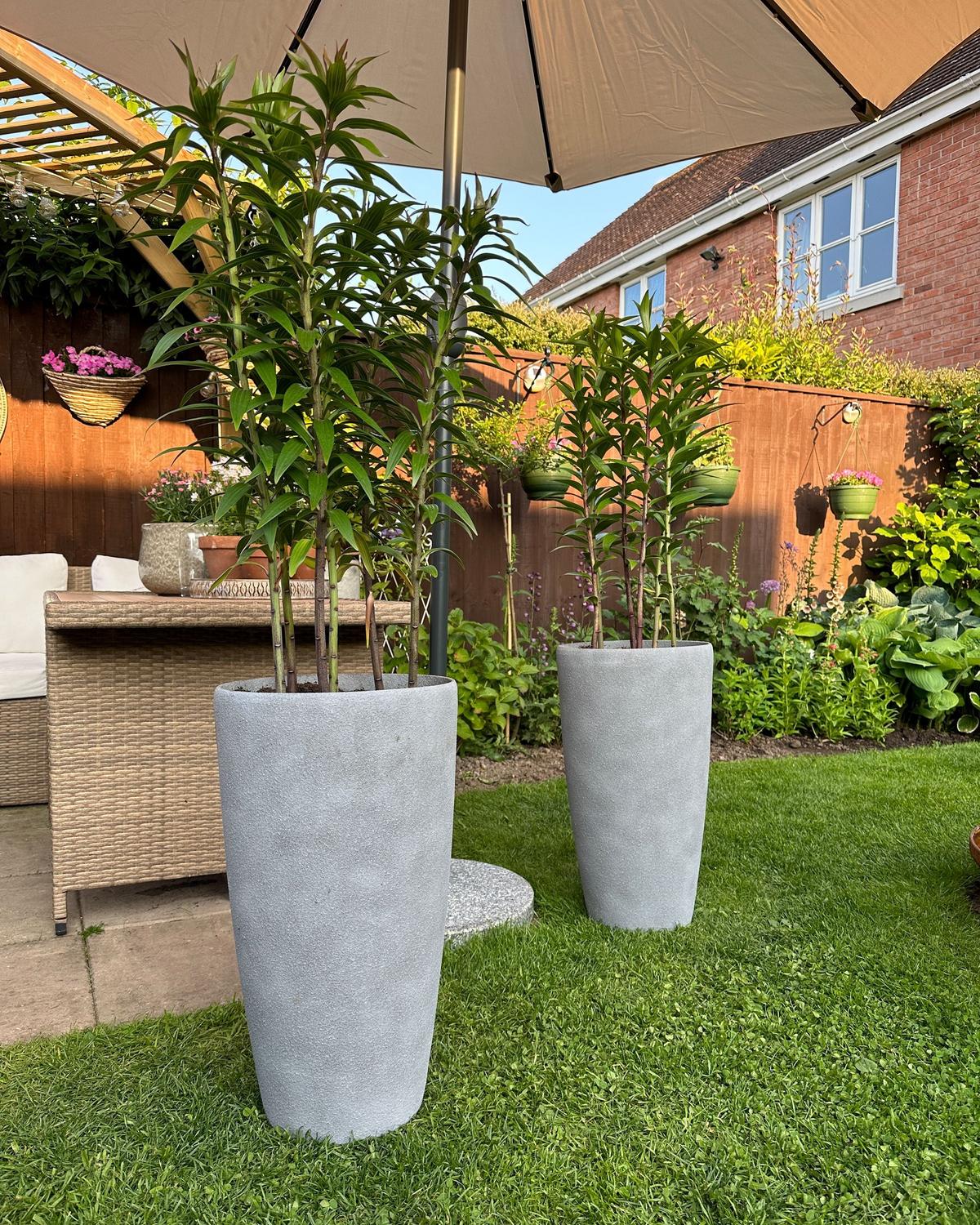 BLUMENTOPF hellgrau rund 31/31/58 cm Abdera - Hellgrau, Stein (58cm) - Beliani