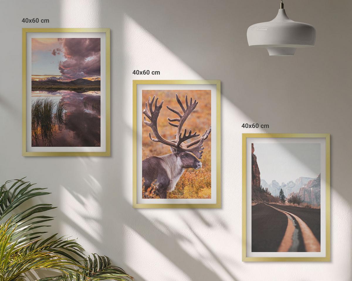 BILDER SET 3er Set - 40x60 cm Goldrahmen - Berglandschaften mit Rentieren - Goldfarben, Kunststoff (40/60cm) - TULUP