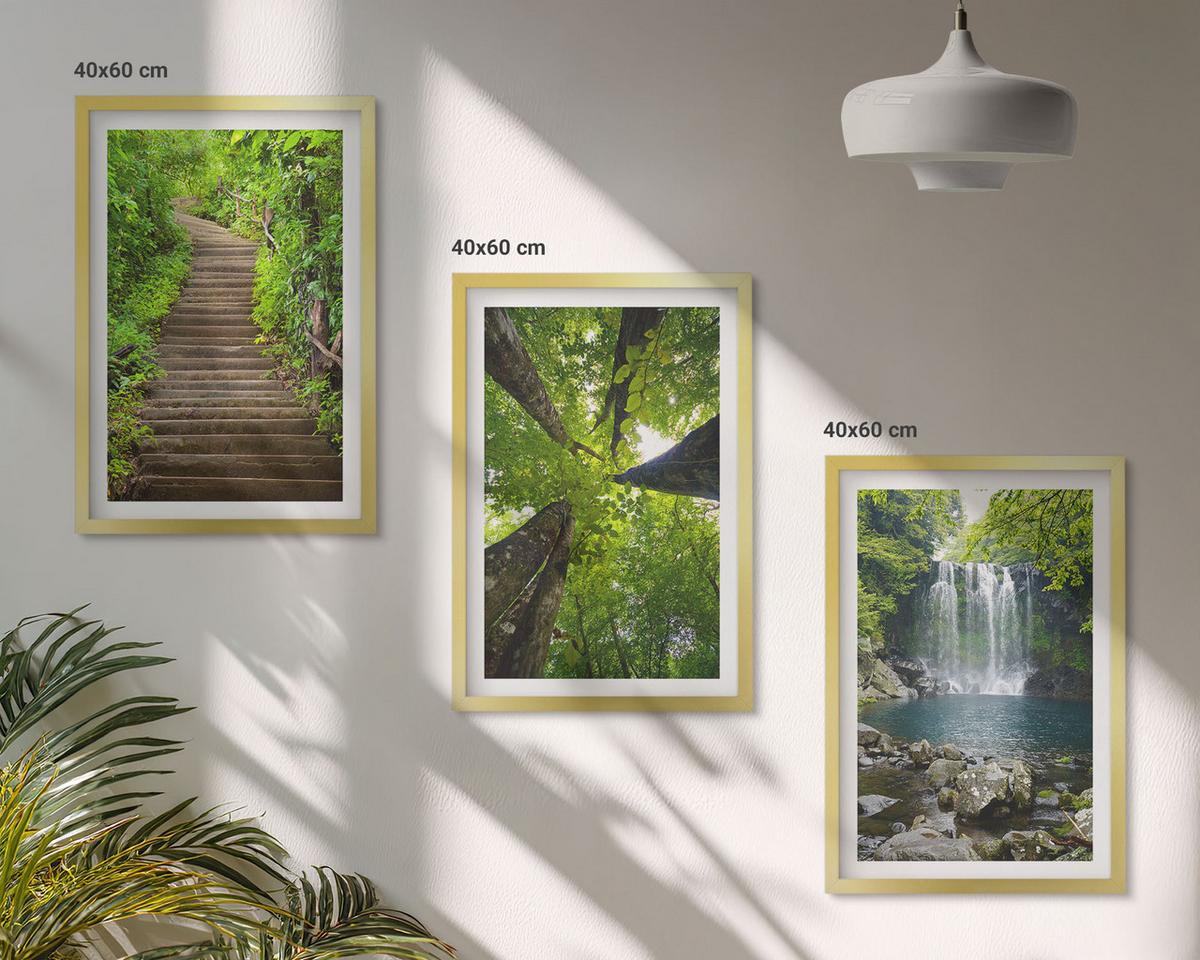 BILDER SET 3er Set - 40x60 cm Goldrahmen - Pfad Wald Wasserfall Vegetation - Goldfarben, Kunststoff (40/60cm) - TULUP