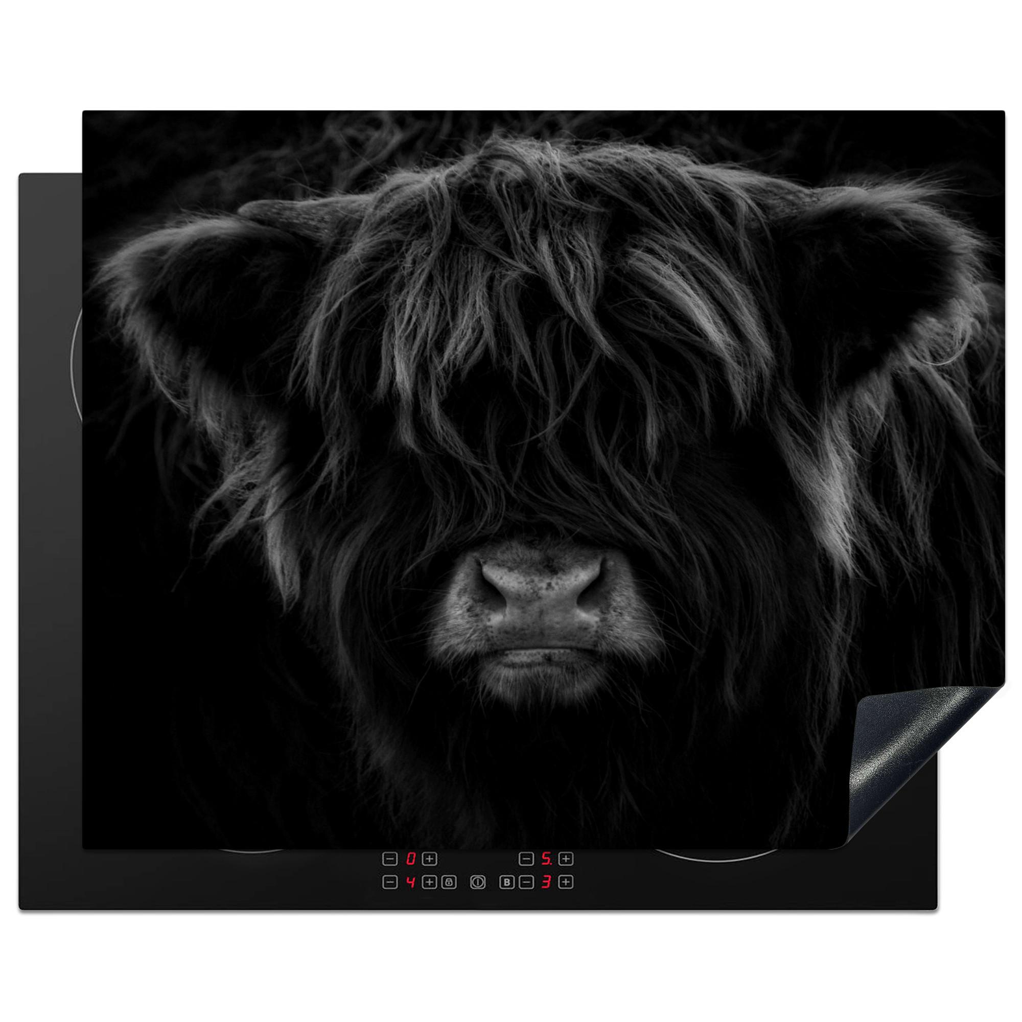HERDABDECKPLATTE Schottischer Highlander - Kuh - Schwarz - Weiß - Tiere Herdabdeckung Induktionsfeld 65x52 cm - Schwarz, Kunststoff (65/52/0.2cm) - MuchoWow