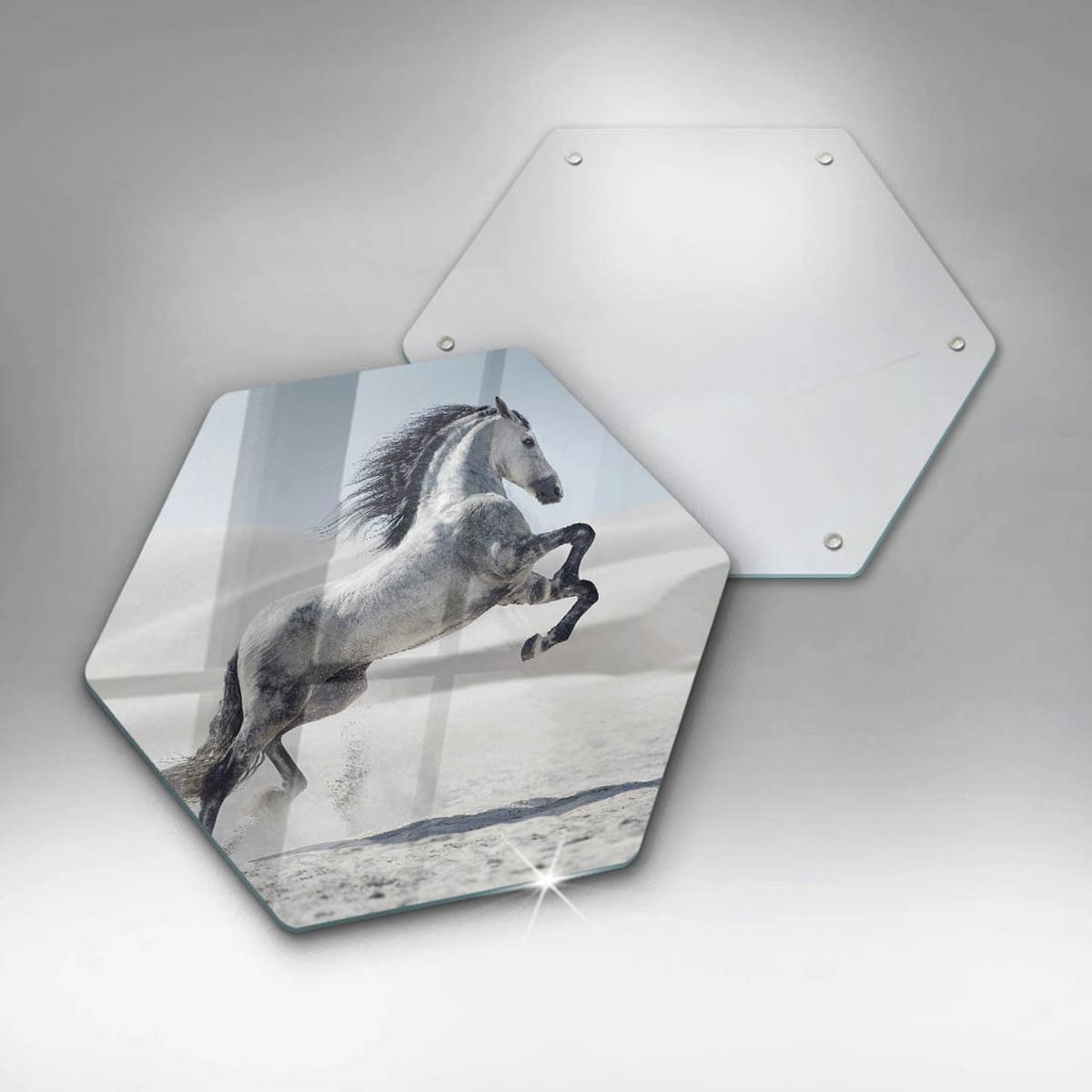 GLASPLATTE 40 cm Weißes rumänisches Pferd - Grau, Glas (40/40cm) - Wallfluent