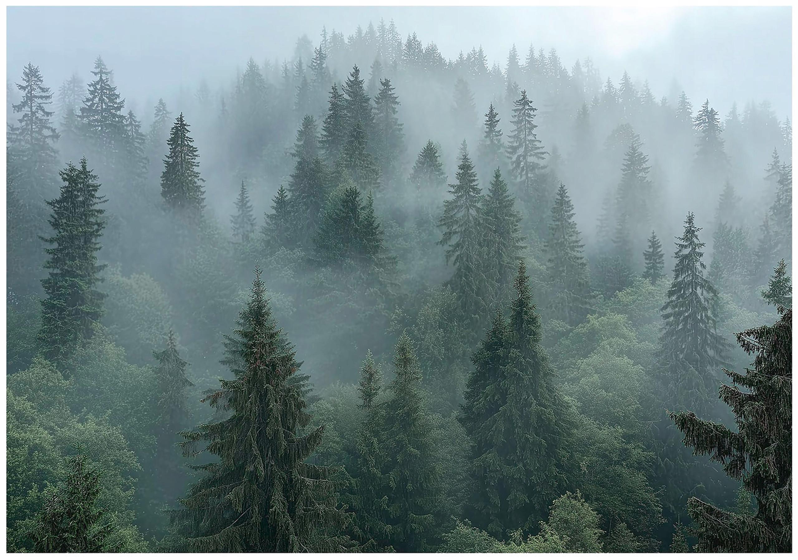 FOTOTAPETE Wald Nebel 3D Effekt Natur Wohnzimmer 200x140 - Multicolor, Papier (200/140cm) - Wallarena
