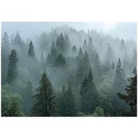 FOTOTAPETE Wald Nebel 3D Effekt Natur Wohnzimmer 200x140 - Multicolor, Papier (200/140cm) - Wallarena