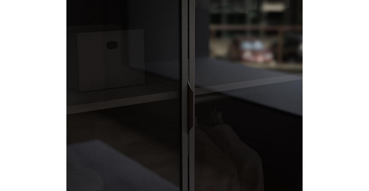 KLEIDERSCHRANK SANDBOX MODERN 200 202/49/200 cm Graphitschwarz / Graphitschwarz + Schwarzes Glas ohne LED 8 Zusatzböden - Schwarz, Holzwerkstoff/Kunststoff (202/200/49cm) - Lookway