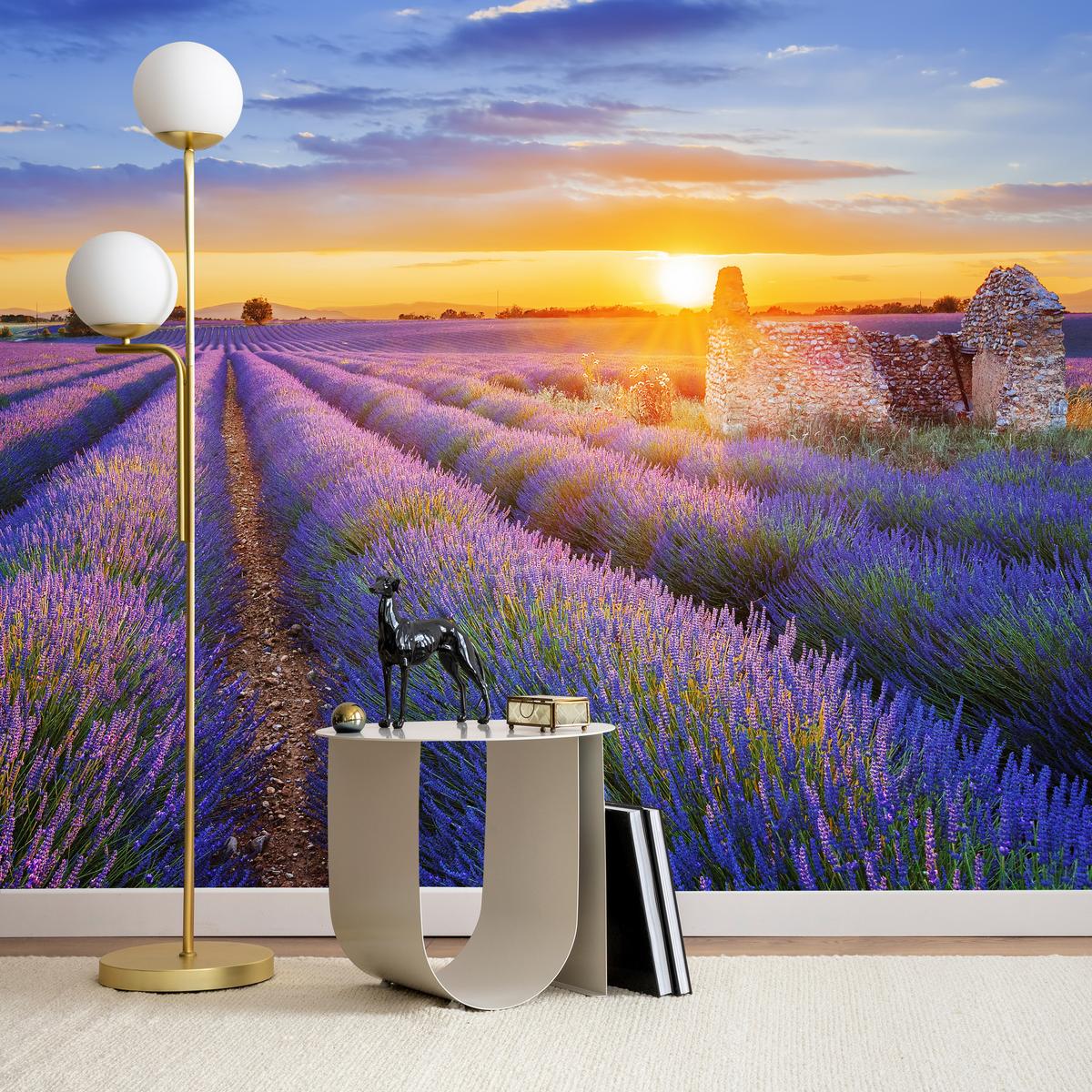 FOTOTAPETE für Wohnzimmer Lavendelfeld Sonnenuntergang Lila 150x105 - Violett/Rosa, Papier (150/105cm) - Muralo