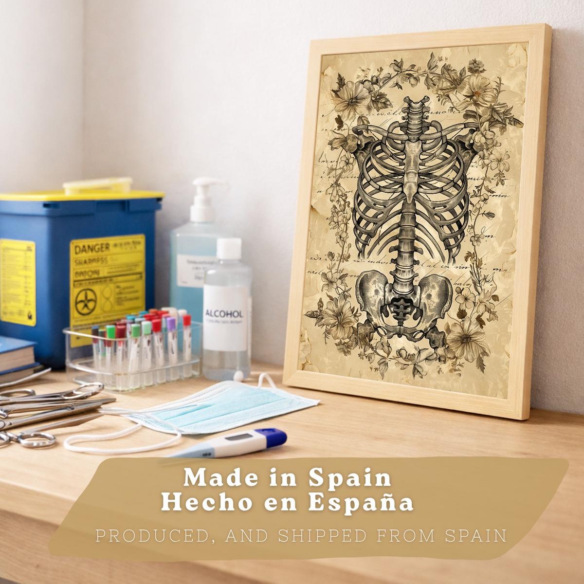 POSTER Set aus 2 Anatomie Mensch Drucke und Wandbilder mit Schädel Wirbelsäule Rippen Becken Klassisches Vintage Design Größe Leichter Holzrahmen A4 - Beige, Papier (21/29.7/3cm) - Nacnic