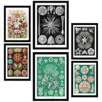 POSTER Set Mit 6 Botanisch Blumig A3 & A4 Schwarzer Rahmen - Schwarz, Papier (29/3cm) - Nacnic