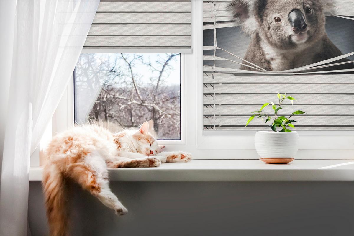 INNENROLLO - Fensterrollo - Rollo - 150x180 cm - Koala - Grau, Kunststoff (150/180/0.5cm) - TULUP