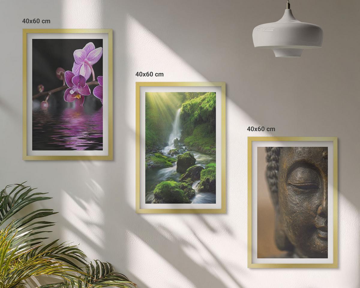 BILDER SET 3er Set - 40x60 cm Goldrahmen - Blumen, Wasserfall, Buddha-Felsen, Zen - Goldfarben, Kunststoff (40/60cm) - TULUP