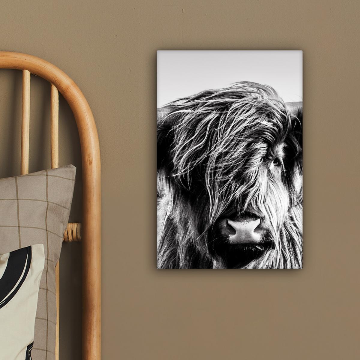LEINWANDBILD Kuh - Schottischer Hochländer - Schwarz - Weiß - Tier - Natur - Wildtiere Deko Wohnzimmer 20x30 cm - Schwarz, Textil (20/30cm) - MuchoWow